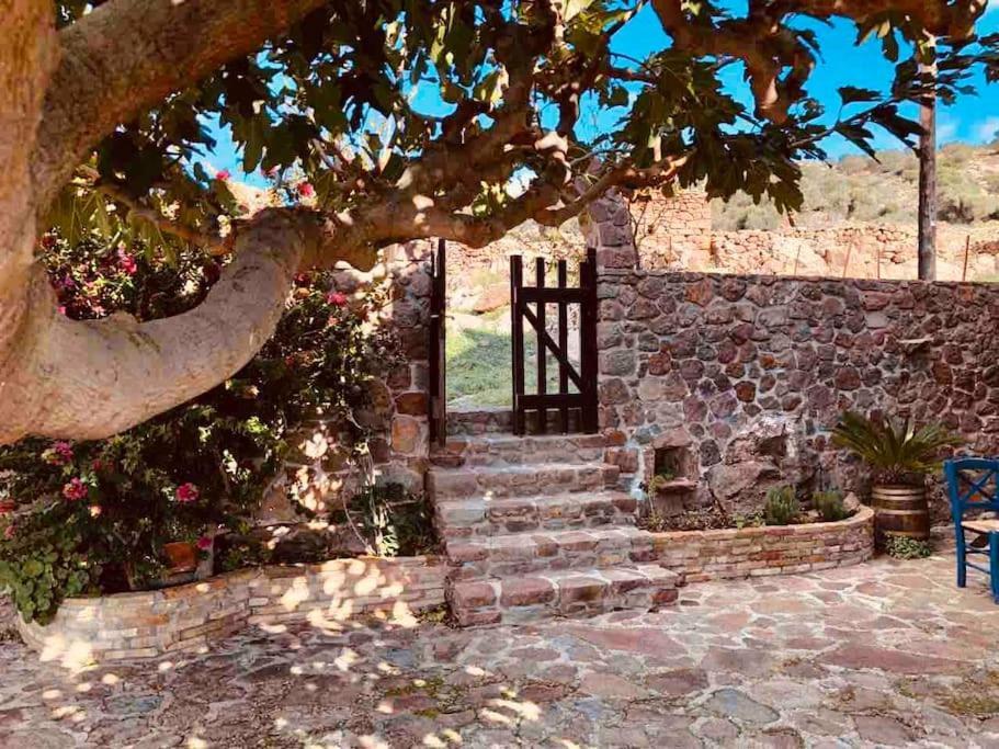 Stone Sunset Villa Sfentouri エクステリア 写真